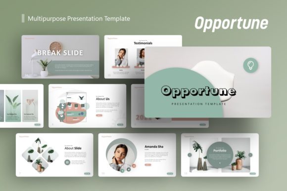 Presentation Template - Multipurpose: A Practical Guide to Opportune