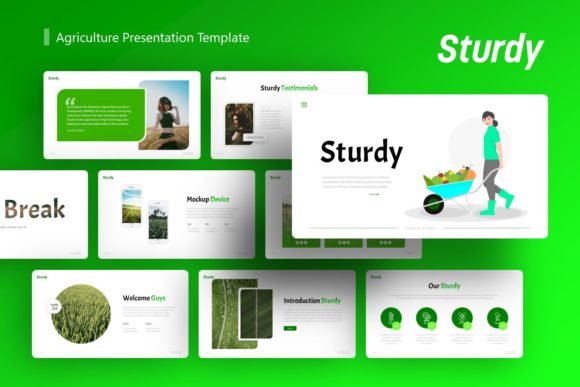 Sturdy Agriculture Presentation Template Guide